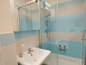 Pronájem bytu 2+kk, Praha - Vinohrady, Písecká, 56 m2