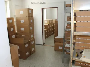 Prodej obchodního prostoru, České Budějovice - České Budějovice 4, Hlinská, 440 m2