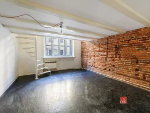 Prodej bytu 3+kk, Praha - Staré Město, U milosrdných, 73 m2