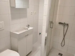 Pronájem bytu 1+1, Ostrava - Slezská Ostrava, Hranečník, 31 m2