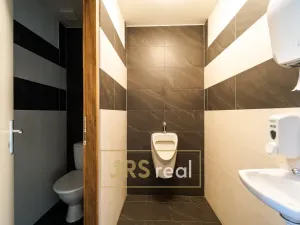 Prodej rodinného domu, Žabčice, 240 m2