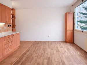 Prodej bytu 1+1, Písek - Budějovické Předměstí, třída Přátelství, 38 m2