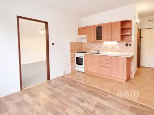 Prodej bytu 1+1, Písek - Budějovické Předměstí, třída Přátelství, 38 m2