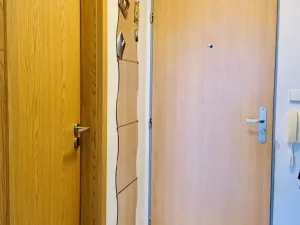 Prodej bytu 1+kk, Brno - Královo Pole, Božetěchova, 32 m2