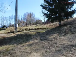 Prodej pozemku pro bydlení, Trutnov - Dolní Předměstí, Nad Poříčskou, 3982 m2