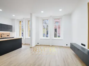 Pronájem bytu 2+kk, Teplice, Vrázova, 67 m2