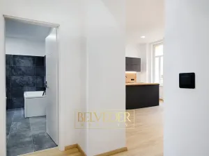 Pronájem bytu 2+kk, Teplice, Vrázova, 67 m2