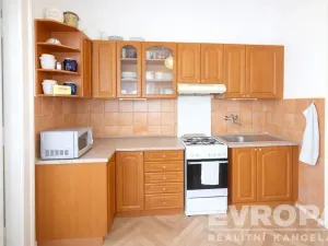 Pronájem bytu 3+1, Praha - Bubeneč, U zeměpisného ústavu, 93 m2