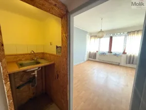 Prodej bytu 1+1, Litvínov - Horní Litvínov, Koldům, 27 m2