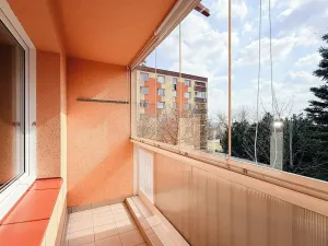 Prodej bytu 3+1, Žamberk, Pionýrů, 70 m2