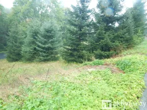 Prodej zahrady, Vejprty, Ovocná, 876 m2