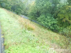 Prodej zahrady, Vejprty, Ovocná, 876 m2