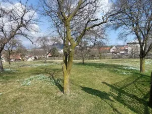 Prodej pozemku pro bydlení, Lešná - Perná, 1563 m2