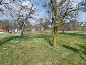 Prodej pozemku pro bydlení, Lešná - Perná, 1563 m2