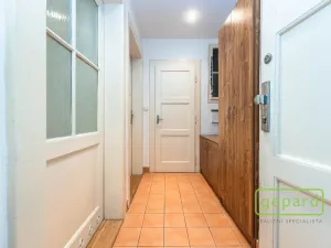 Prodej bytu 1+1, Praha - Nusle, V Horkách, 44 m2