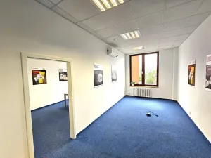 Pronájem kanceláře, Ostrava, Vítkovická, 73 m2