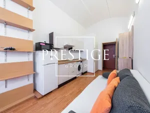 Pronájem bytu 1+kk, Praha - Vinohrady, Šafaříkova, 28 m2