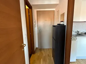 Pronájem bytu 3+kk, Praha - Vyšehrad, Neklanova, 60 m2