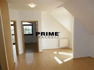 Pronájem rodinného domu, Praha - Nebušice, Druhého odboje, 390 m2