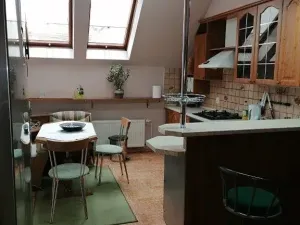 Prodej rodinného domu, Ostrava, Dobrovského, 350 m2