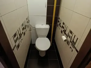 Pronájem bytu 1+1, Frýdlant nad Ostravicí, 38 m2