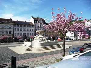 Pronájem bytu 1+kk, Děčín, Pohraniční, 20 m2