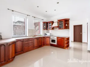 Pronájem rodinného domu, Šestajovice, Sukova, 204 m2