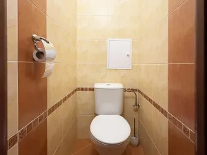 Prodej bytu 2+1, Sázava, Sklářská, 58 m2