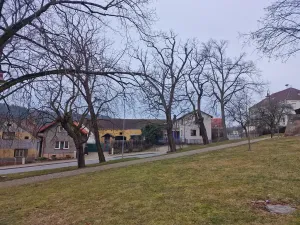 Prodej rodinného domu, Svojšín, 230 m2