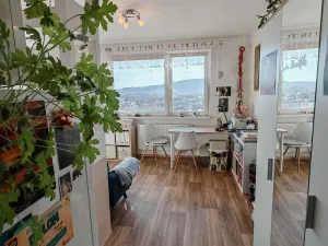 Prodej bytu 1+1, Liberec, Dobiášova, 34 m2