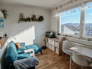 Prodej bytu 1+1, Liberec, Dobiášova, 34 m2