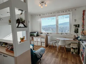 Prodej bytu 1+1, Liberec, Dobiášova, 34 m2