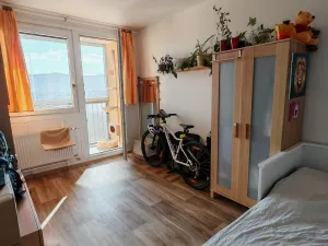 Prodej bytu 1+1, Liberec, Dobiášova, 40 m2