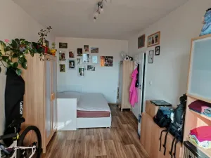 Prodej bytu 1+1, Liberec, Dobiášova, 40 m2