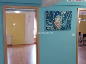 Prodej bytu 4+kk, Cheb, Růžový kopeček, 158 m2