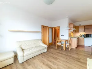 Pronájem bytu 2+kk, Brno - Staré Brno, Bezručova, 49 m2