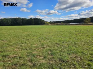 Prodej zemědělského objektu, Nová Ves, 375 m2