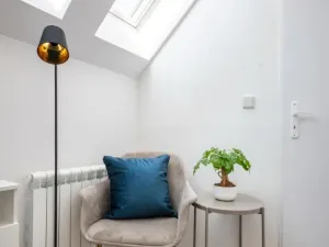 Pronájem bytu 3+kk, Praha - Nové Město, Biskupská, 50 m2