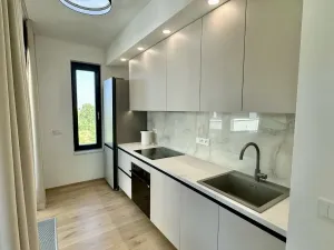 Pronájem bytu 2+kk, Praha - Karlín, Sokolova, 67 m2