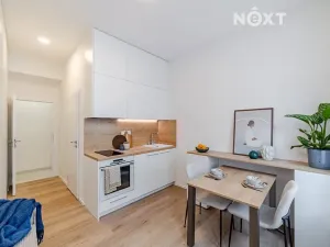 Prodej bytu 1+kk, Praha - Vysočany, Kolmá, 18 m2