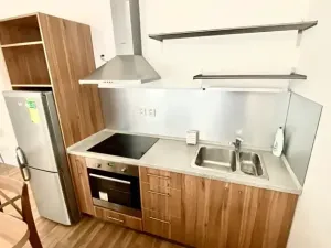 Pronájem bytu 1+kk, Brno, Přadlácká, 31 m2