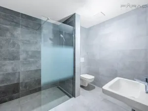 Pronájem bytu 2+kk, Praha - Břevnov, Bělohorská, 111 m2