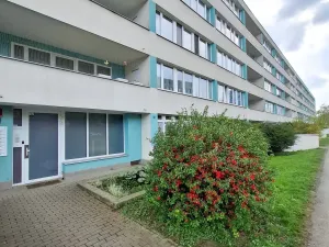 Pronájem bytu 1+kk, Praha - Karlín, K Olympiku, 35 m2