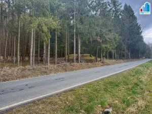 Prodej pozemku pro bydlení, Příchovice - Zálesí, Příchovice, 2190 m2