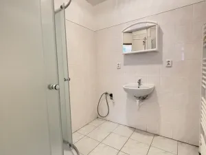 Prodej vícegeneračního domu, Chlumec nad Cidlinou, Pražská, 265 m2