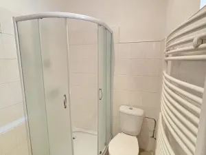 Prodej vícegeneračního domu, Chlumec nad Cidlinou, Pražská, 265 m2