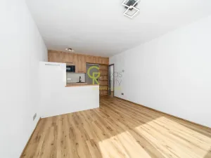 Pronájem bytu 1+kk, Praha - Hodkovičky, Pod lysinami, 30 m2