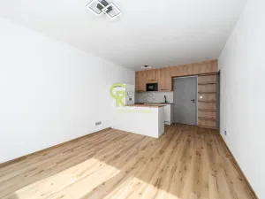 Pronájem bytu 1+kk, Praha - Hodkovičky, Pod lysinami, 30 m2