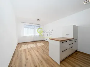 Pronájem bytu 1+kk, Praha - Hodkovičky, Pod lysinami, 30 m2