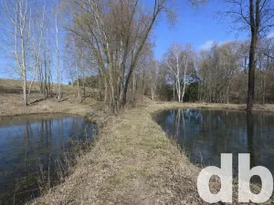 Prodej rybníku, Toužim, 5506 m2